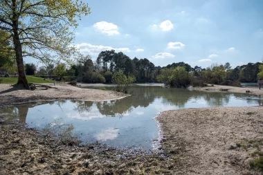 20220416 lac bleu leognan (2).